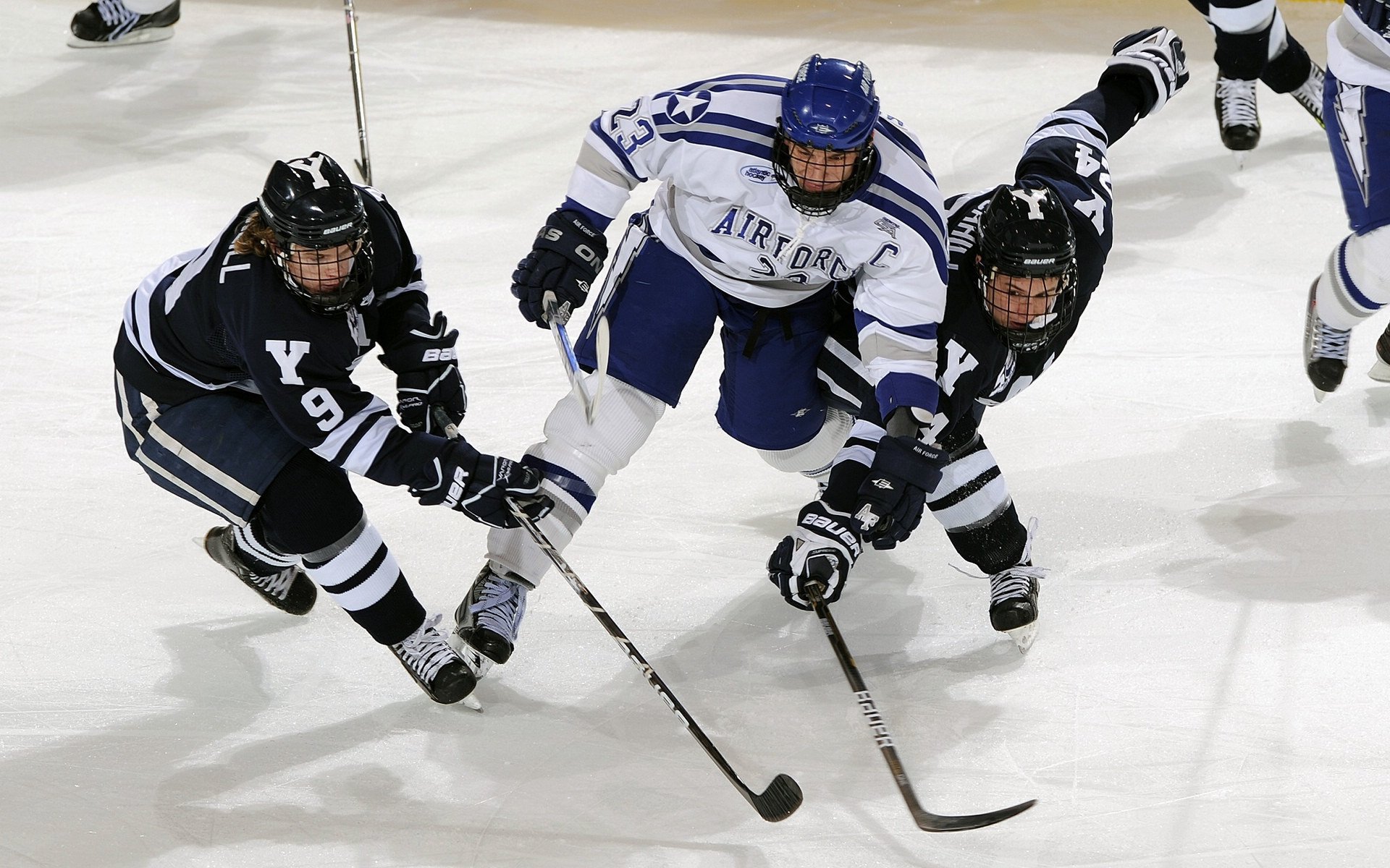 美洲杯球队背后团队支持揭秘,美洲杯球队背后团队支持揭秘吗